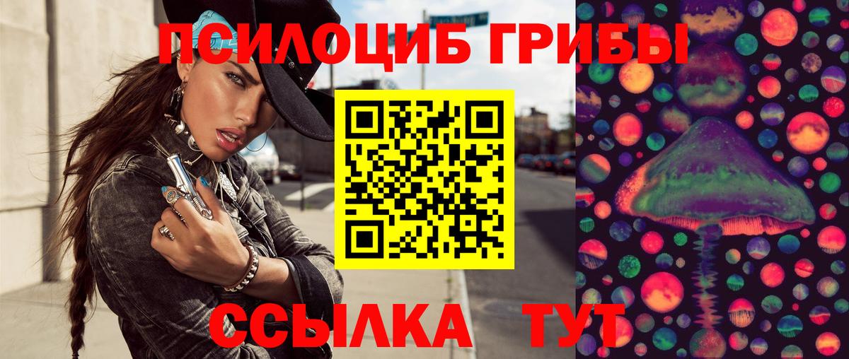 Галлюциногенные грибы прущие грибы  Вход с VPN  Сергиев Посад 